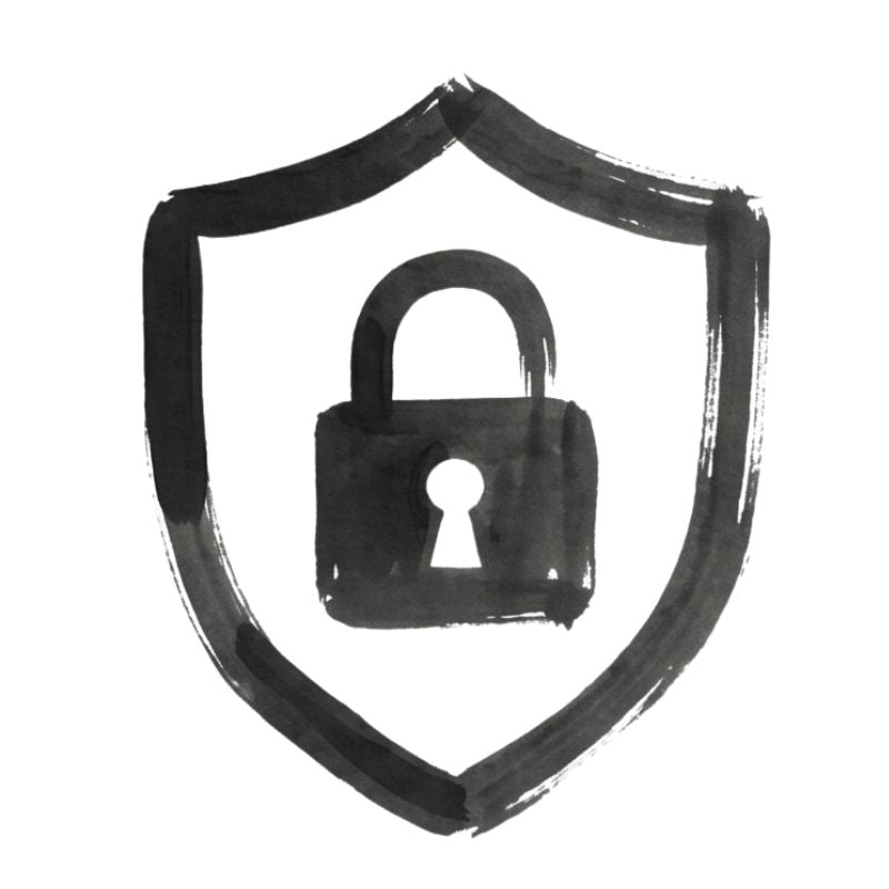 Payment 100% Secured