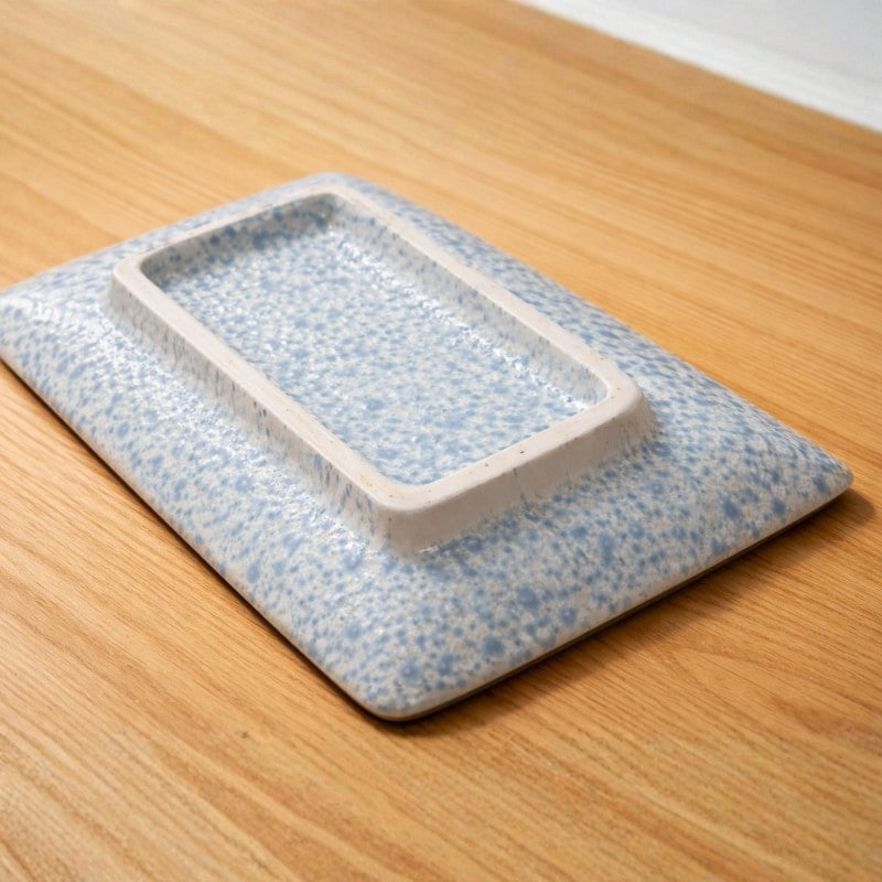 Artistic decoration plate sushi featuring blue speckled glaze with integrated rectangular compartment design
